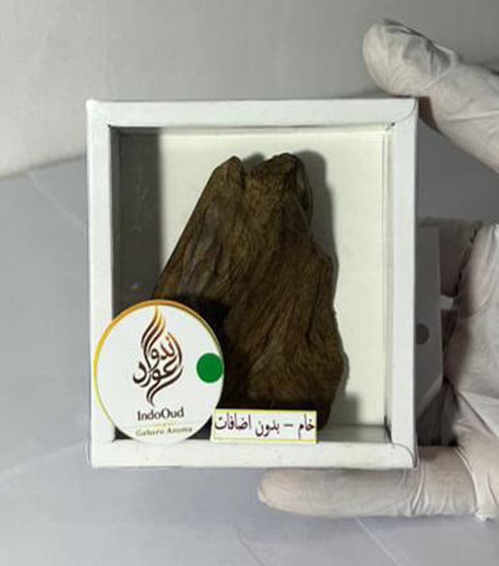 عود ماروكي اندونيسي طبيعي جودة سوبر