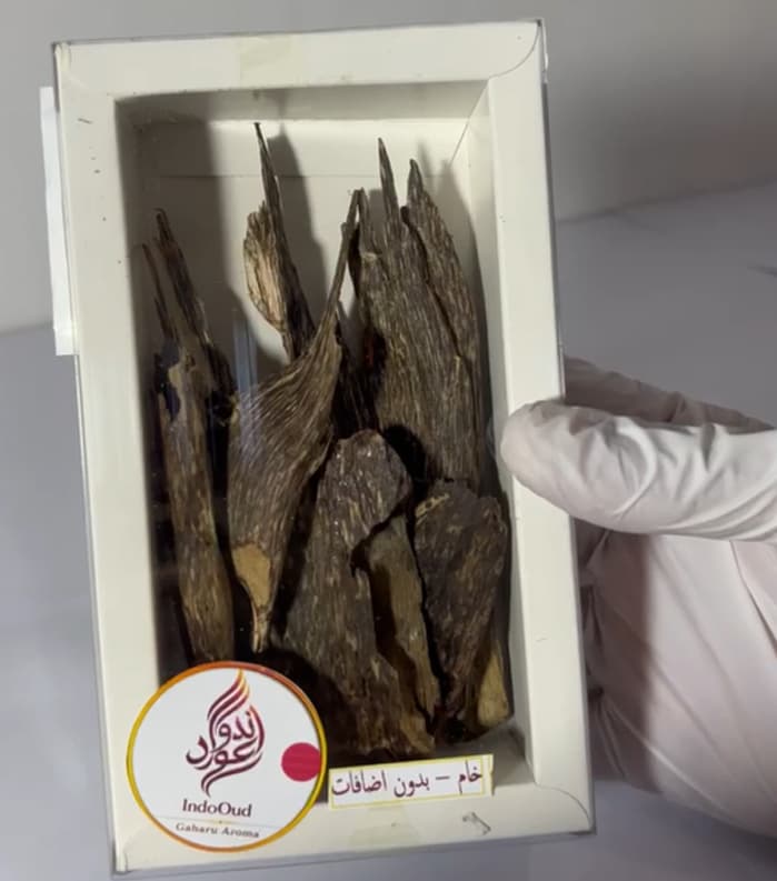 عود كالمنتان بونتيانا اندونيسي طبيعي جودة سوبر